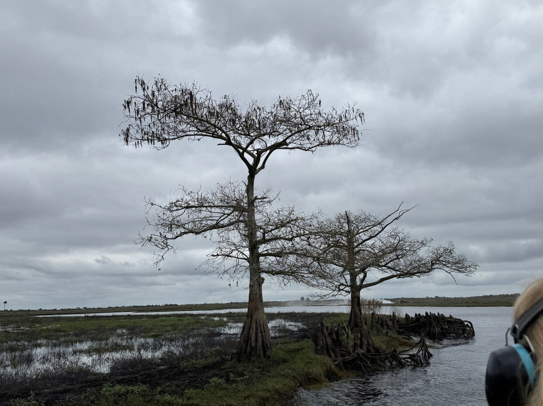 Backwoods Airboat Adventures-Christmas必去景点