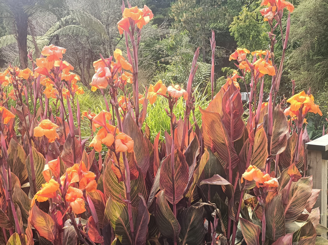 Wrights Watergardens-Patumahoe必去景点