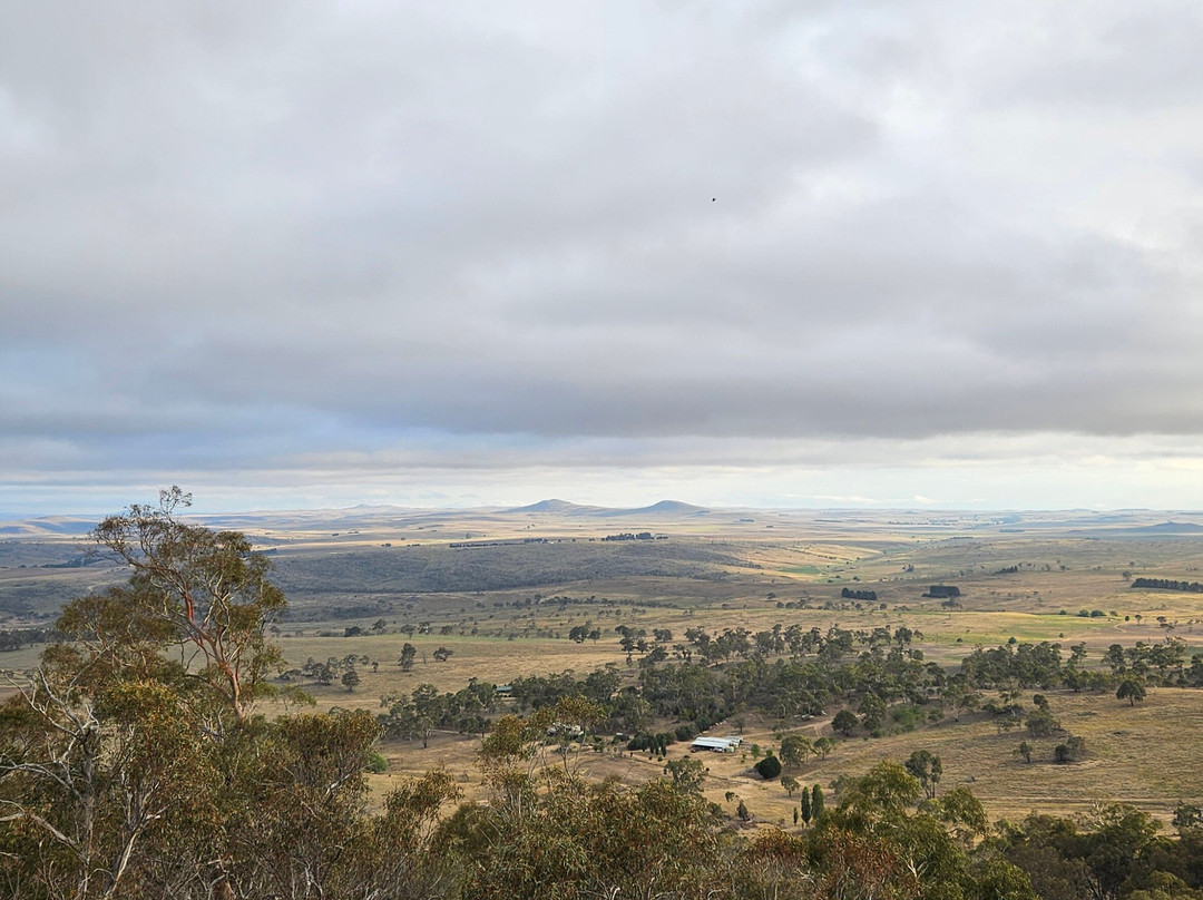 Mount Gladstone Lookout景点图片