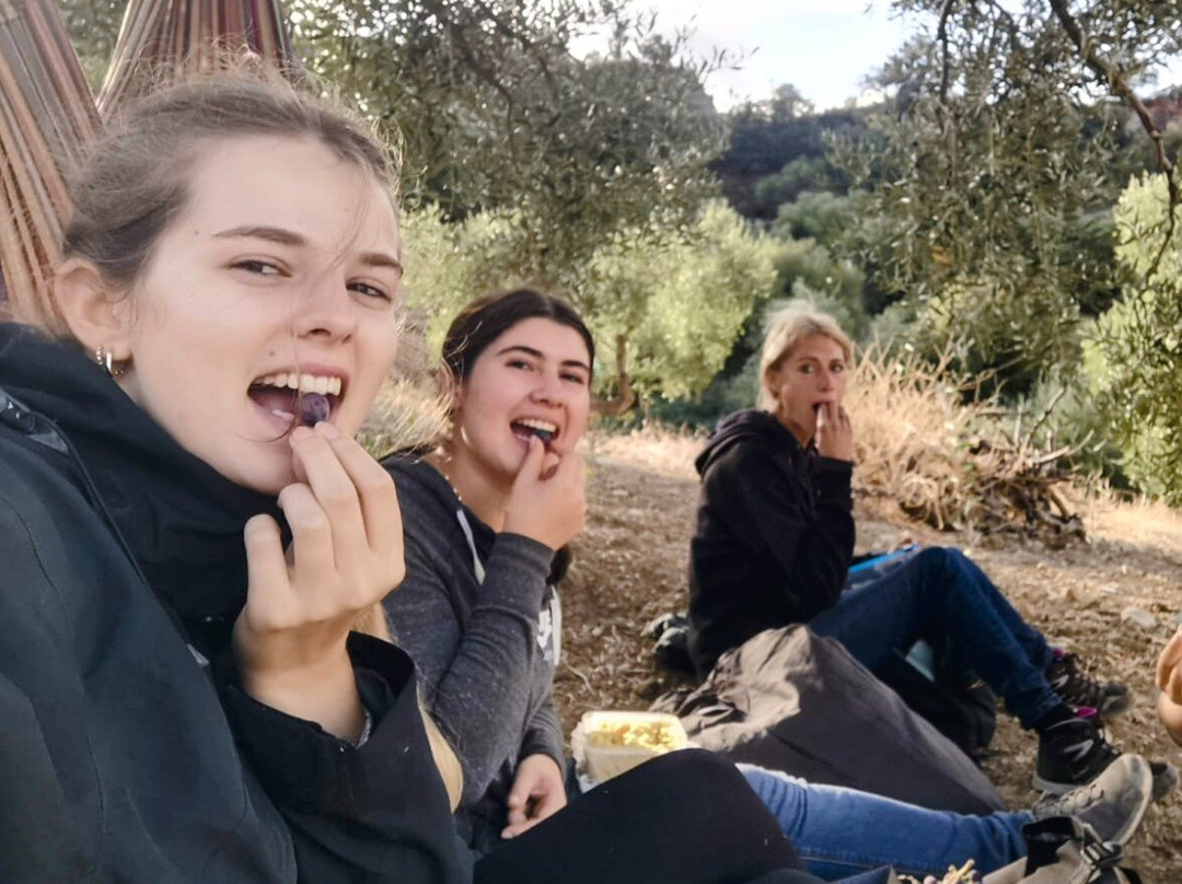 Time and Space Equine Education Sanctuary