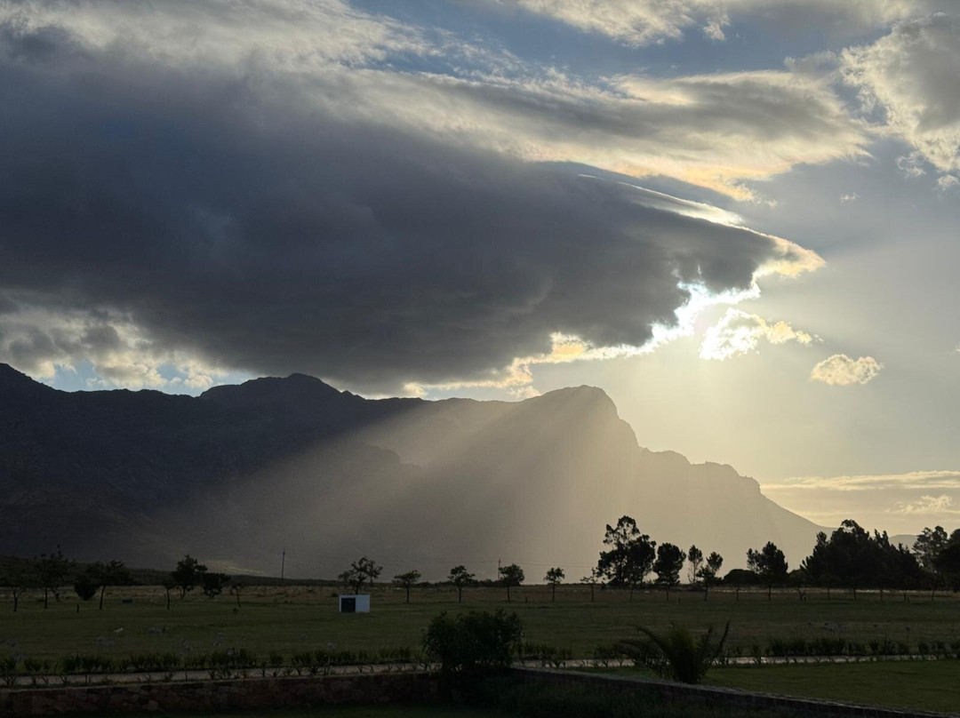 Huguenot House主图