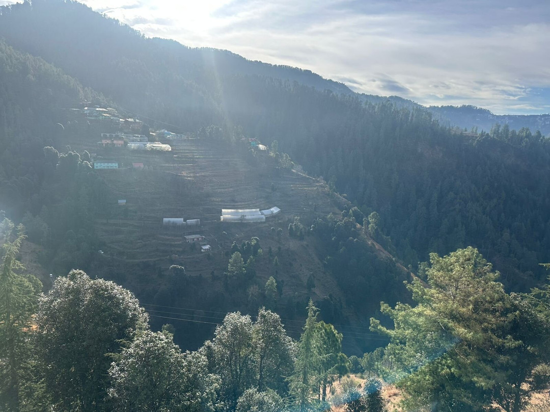 Welcomhotel By ITC Hotels Shimla主图