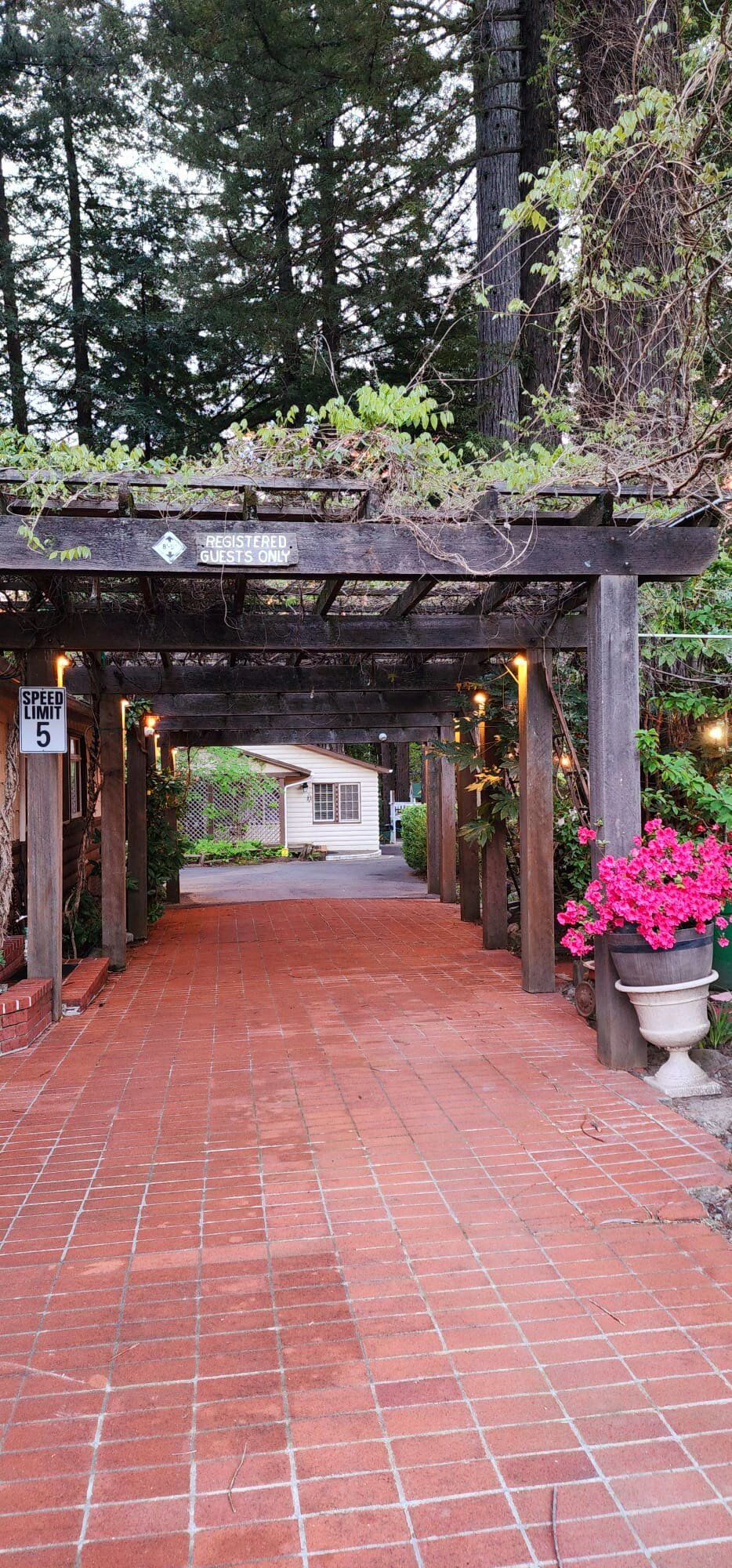 Miranda Gardens Resort-浴室