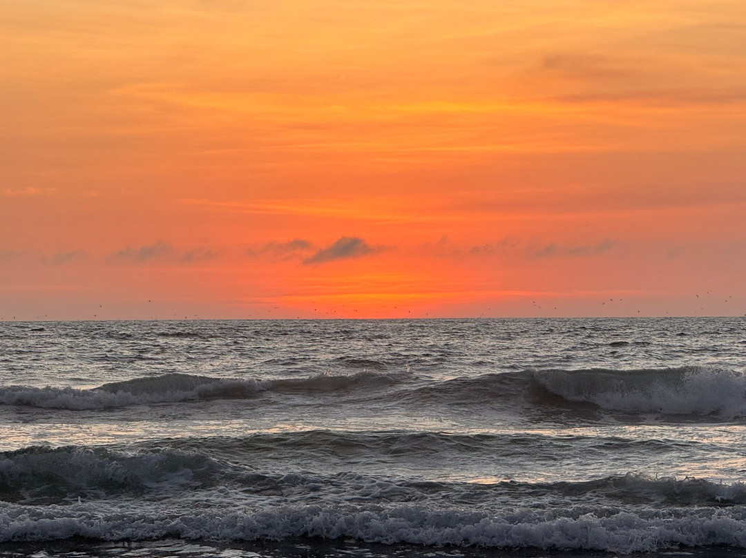 Los Lobos-Cerro Azul必去景点