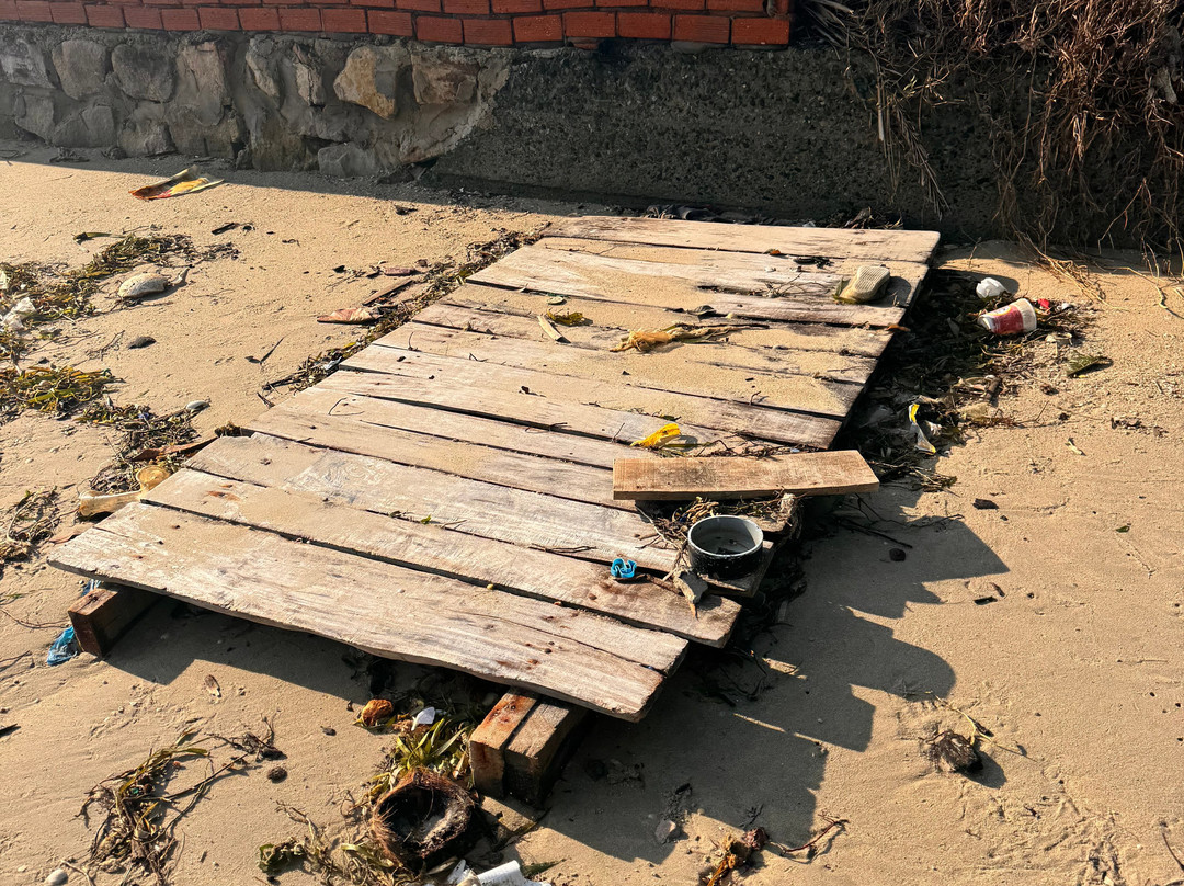 Freedom Beach Resort