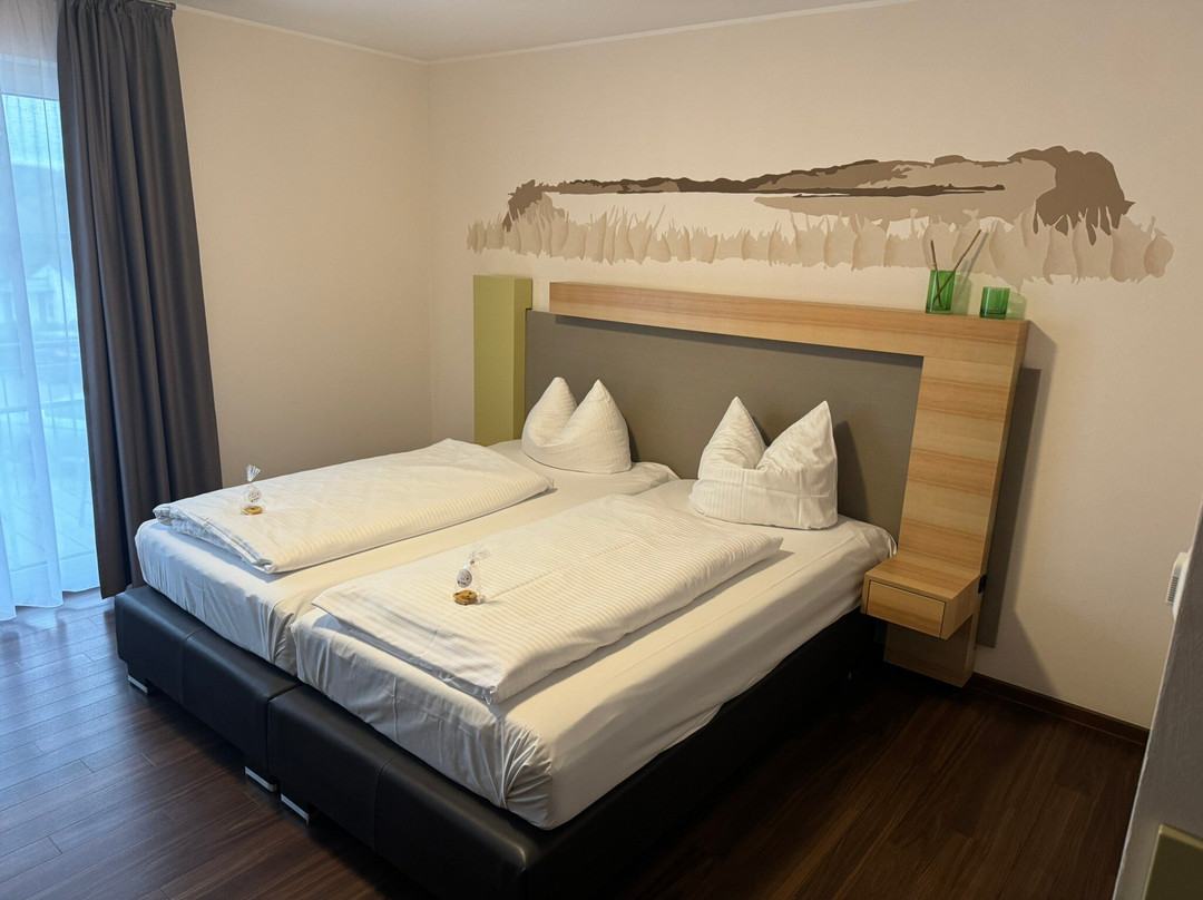 兰达尔维卡内菲旅馆主图