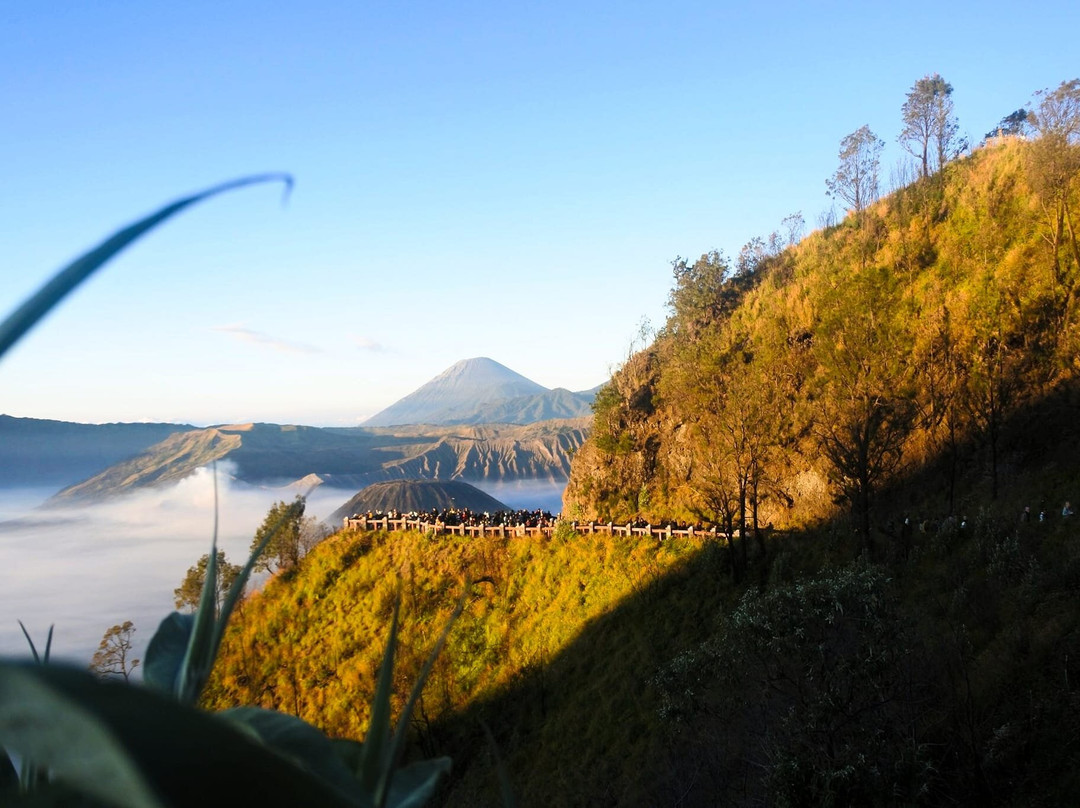 Bromo Ijen Sewu Waterfall景点图片