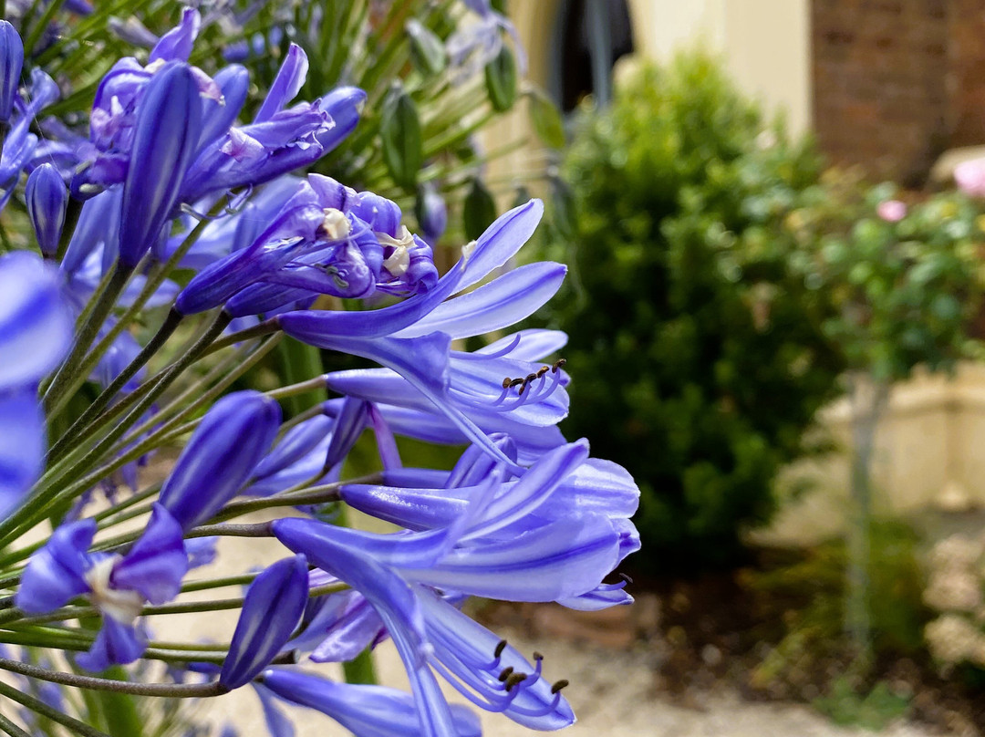 St Andrew's Presbyterian Church - Former-Bairnsdale必去景点
