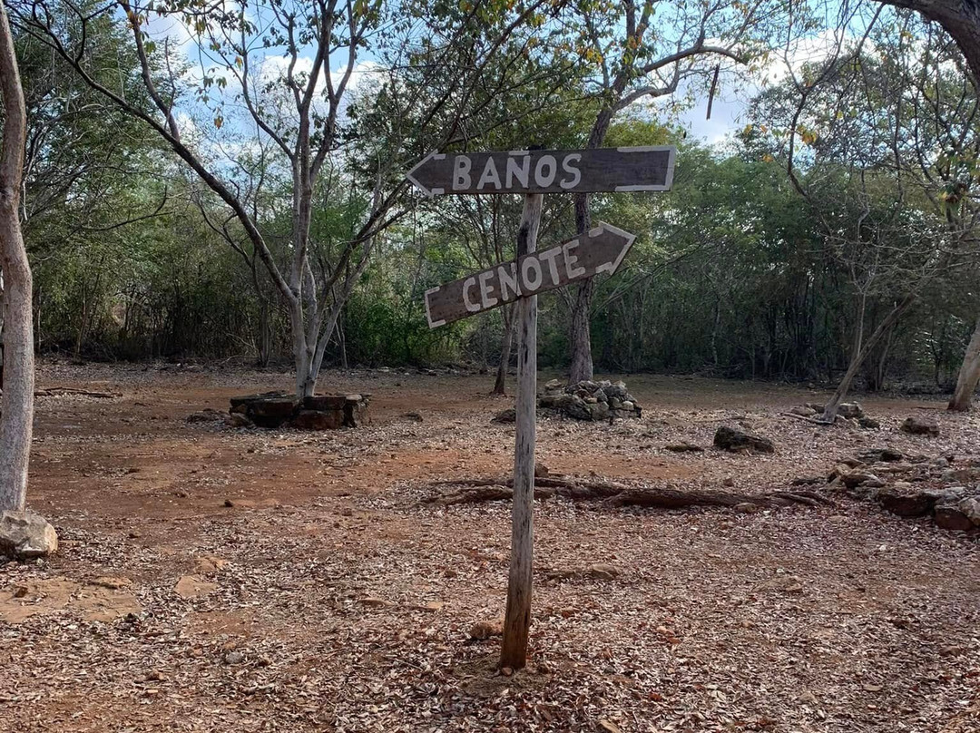 Tours by Russel Progreso yucatan-Chelem必去景点