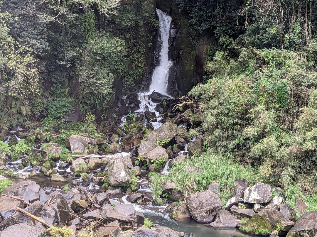 Sekinoo Falls-都城市必去景点