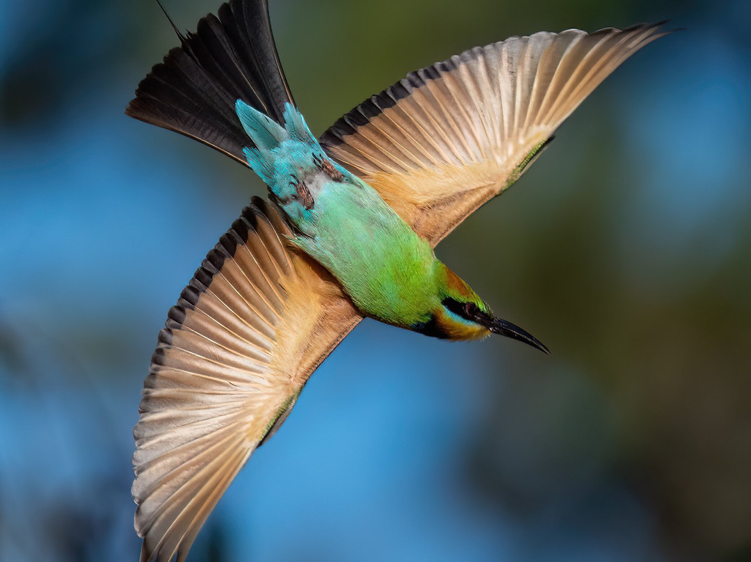 Adventure Art Photography-汉道夫德国村必去景点