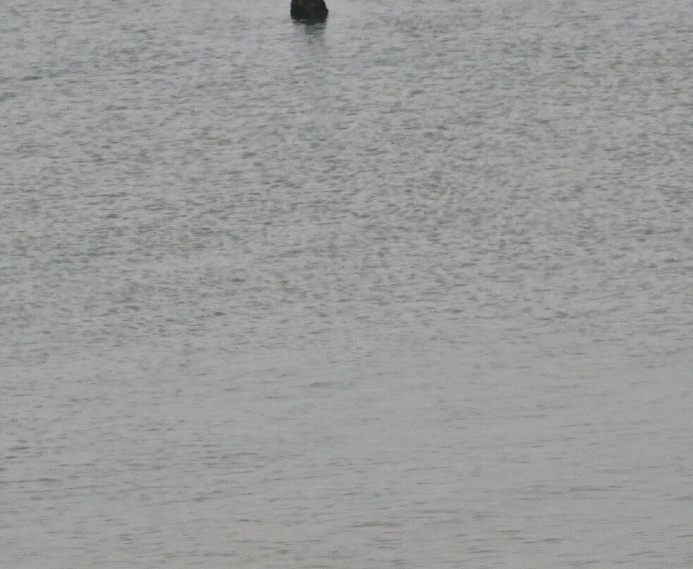 Margate Beach-马盖特必去景点