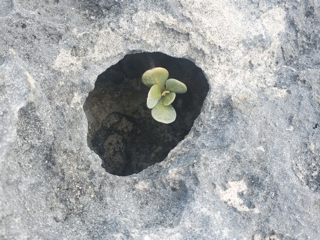 The Hot Tubs or Queen’s Baths-伊柳塞拉必去景点