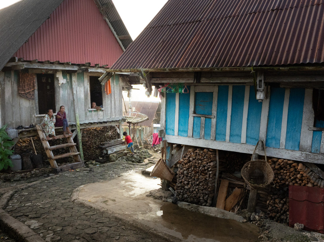 Sulawesi Eco Adventure景点图片