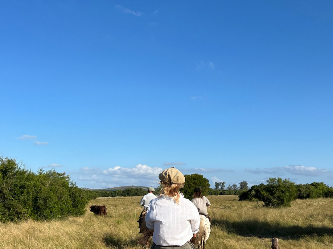 Estancia La Pilona Horse Farm-Mariscala必去景点