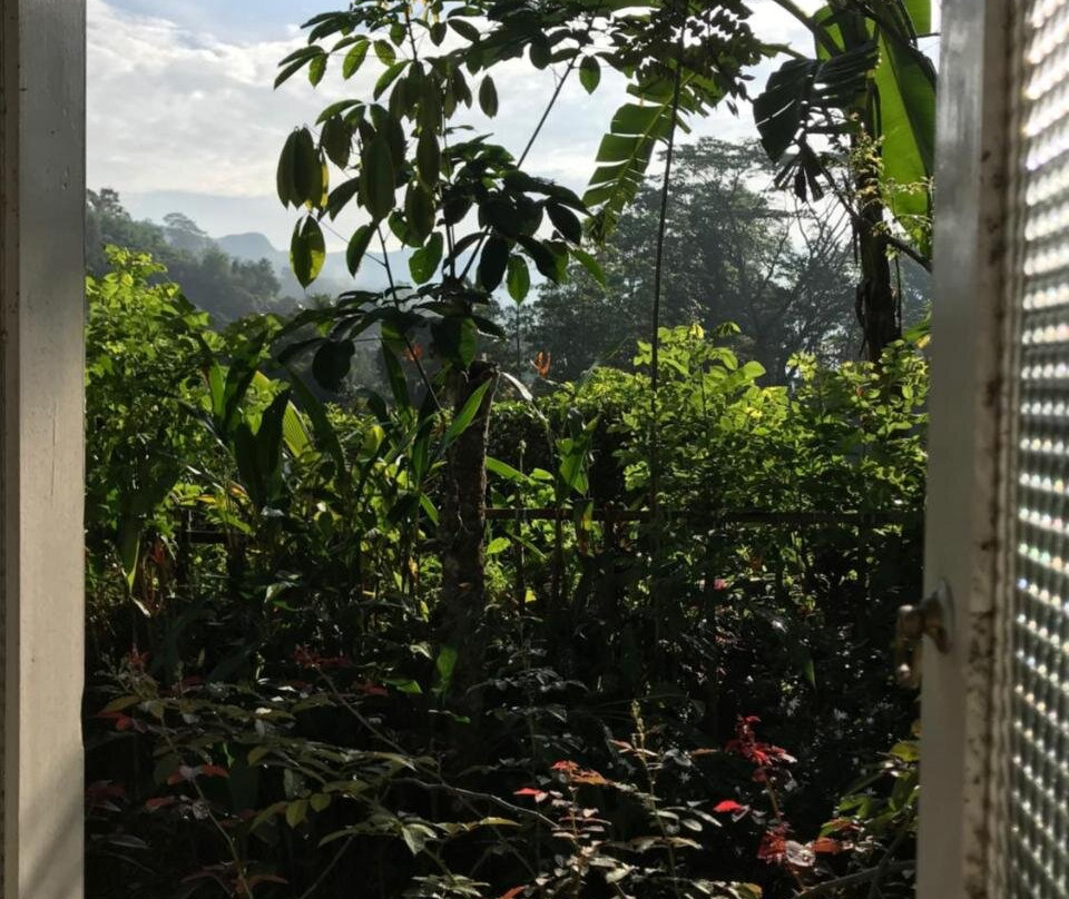 Sinharaja Tranquil Homestay