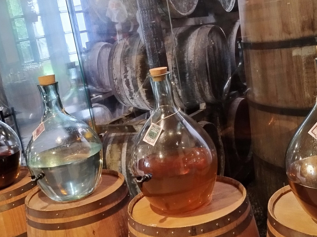 Destilaria Monte Verde-蒙特贝尔德必去景点