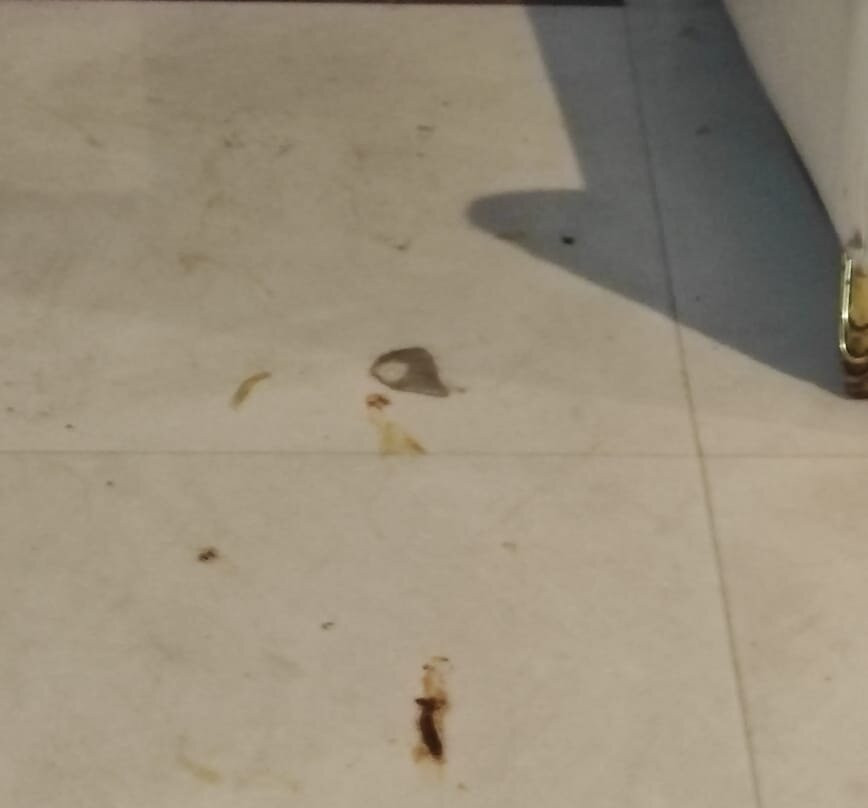 Taraji Resort Restaurant and Hotel主图