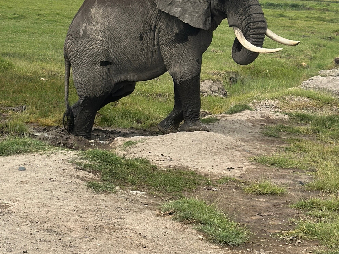 AstazTravel-桑给巴尔市必去景点