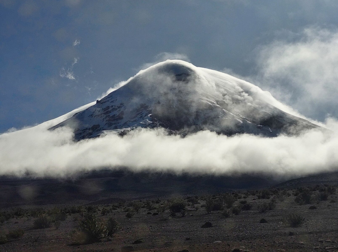 Reserva de Produccion de Fauna-Riobamba必去景点