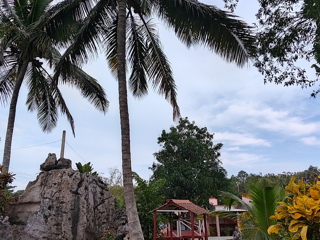 Cabañas Las Rocas主图