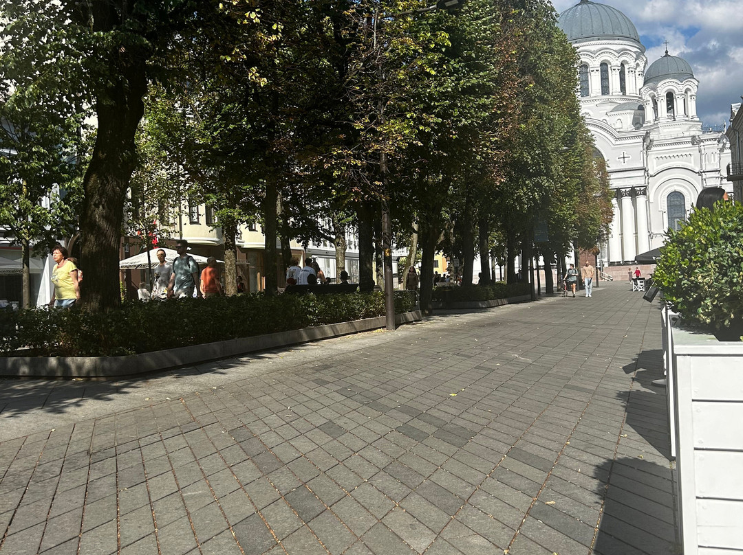 Kaunas Old Town-考那斯必去景点