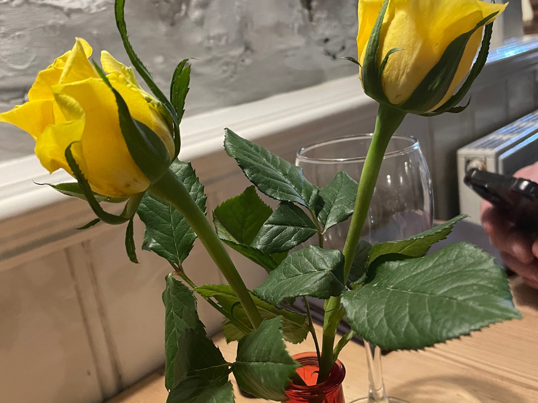 The Blazing Donkey Country Hotel主图