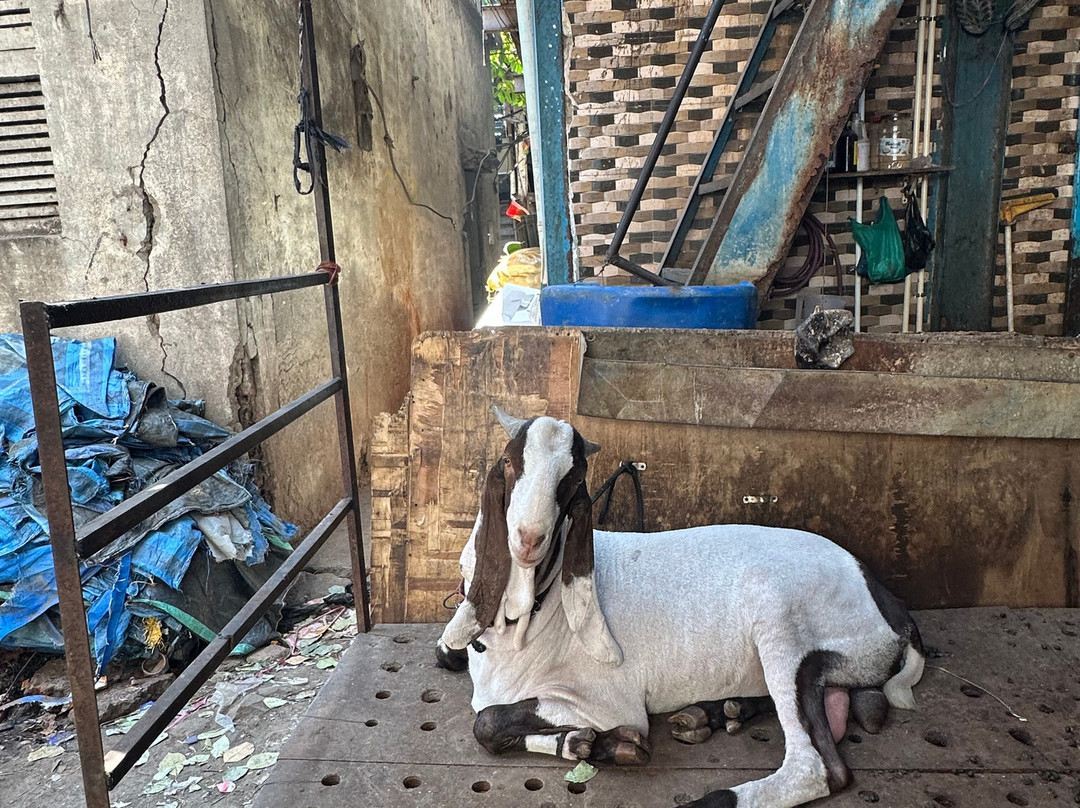 Beautiful Bombay Tours-孟买必去景点