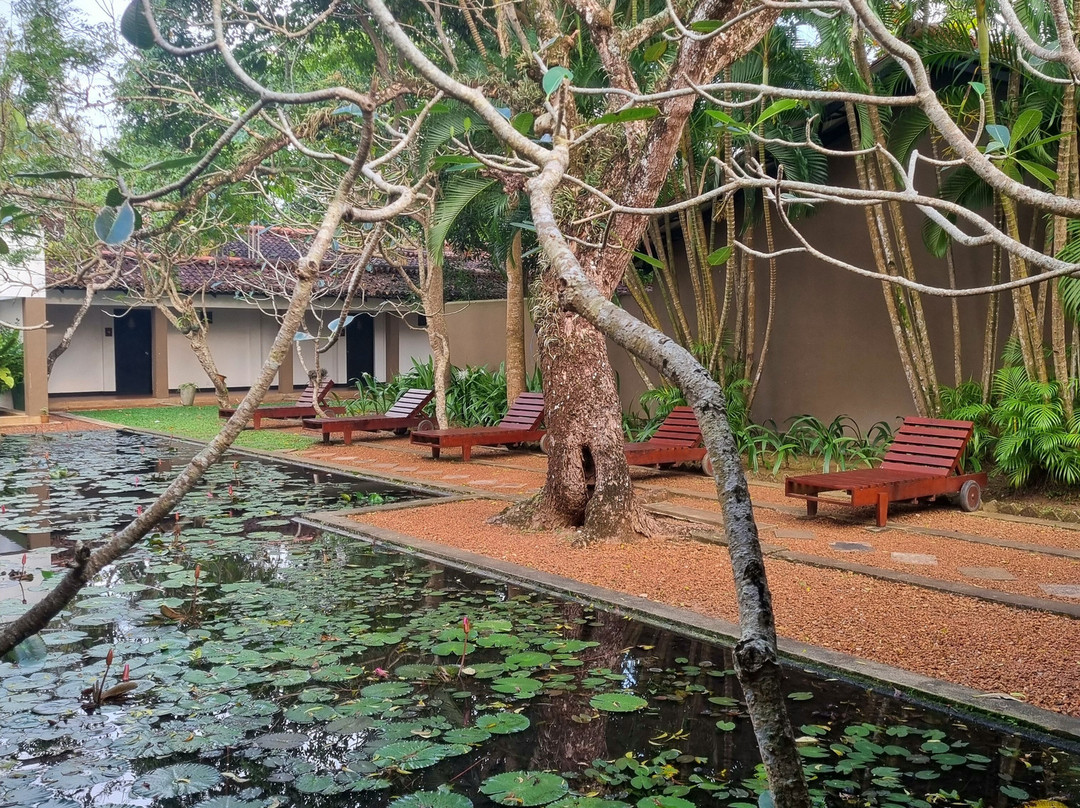 Heritance Ayurveda主图