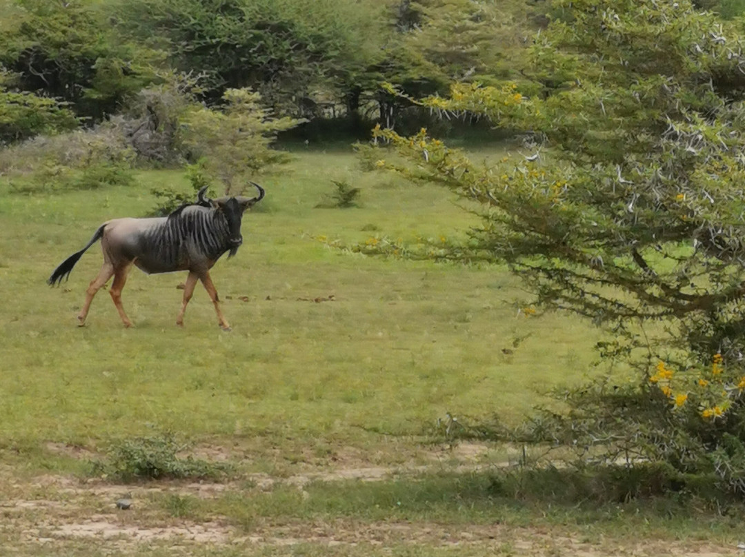 Hello Tanzania-Dar es Salaam必去景点