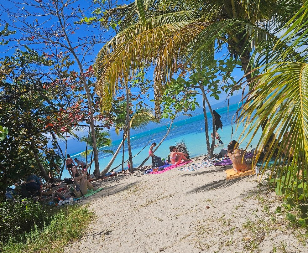 Ilet du Gosier-Le Gosier必去景点