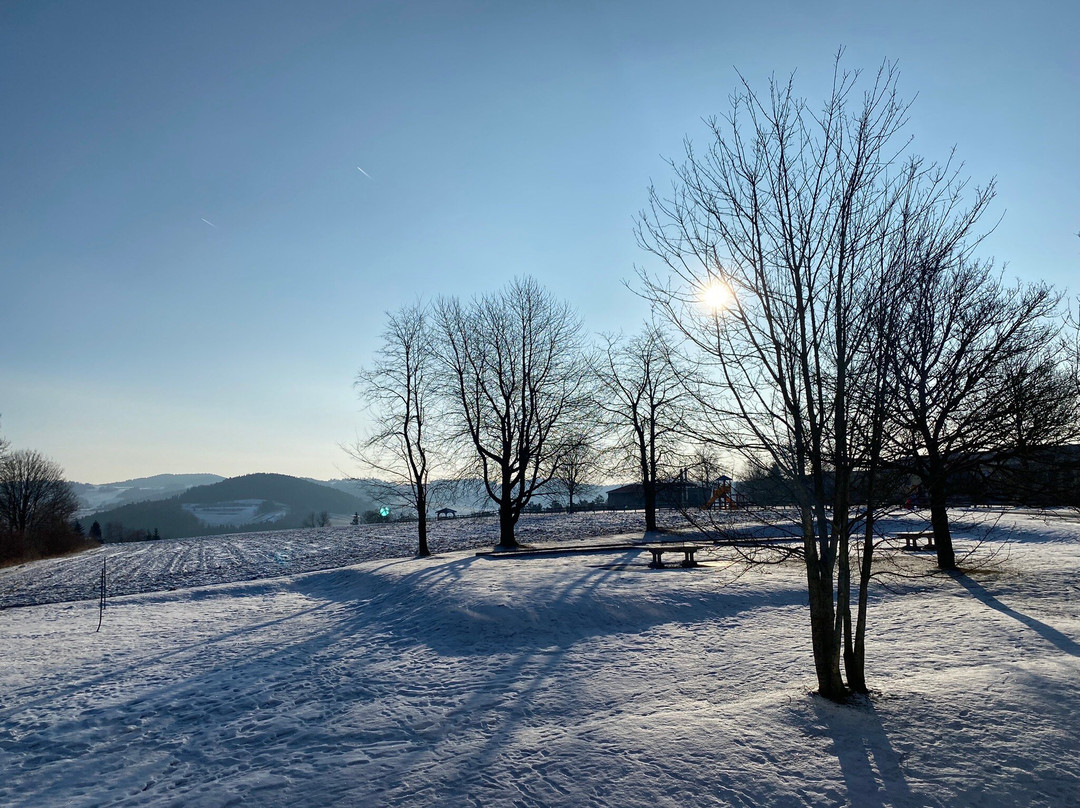 Landhotel Rosenberger主图