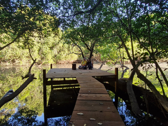 Rppn Canto Do Obrieni-Caseara必去景点
