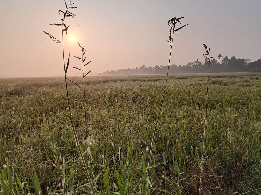 Experience Kerala Holiday Planners景点图片