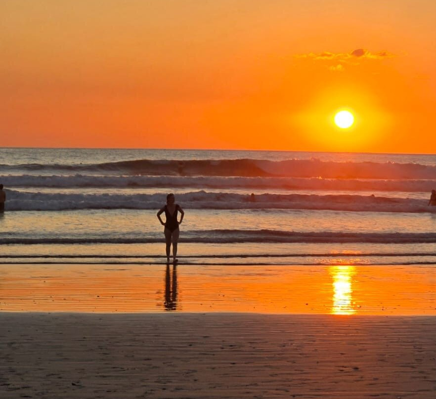 Bodhi Tree Yoga Resort主图