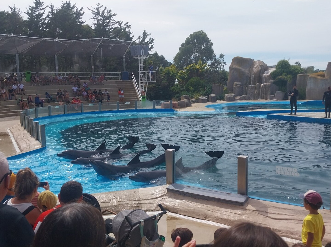 Mundo Marino-圣克莱门特雷图尤必去景点