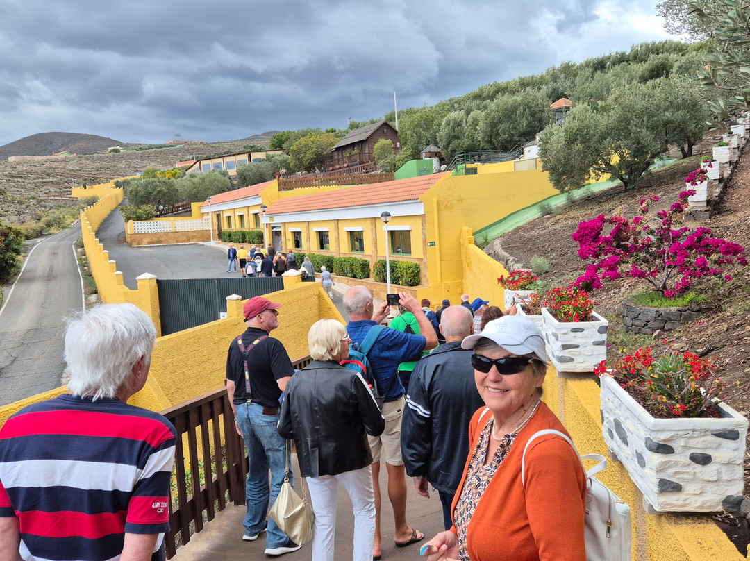 Centro Ecológico Cultural Los Olivos景点图片