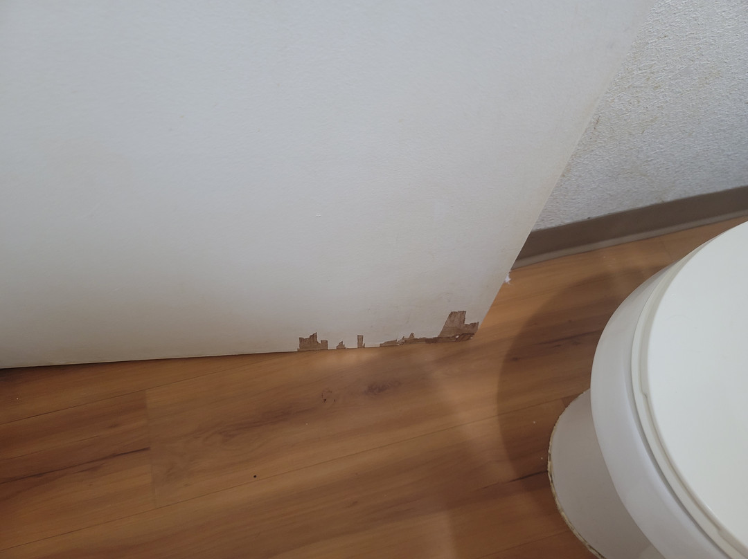 Motel 6 Connellys Springs, NC主图