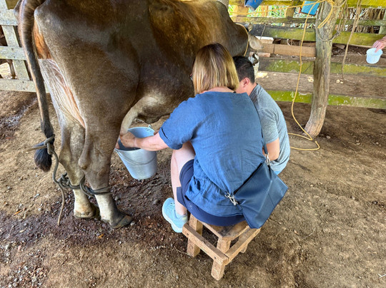 Manakin Tours-圣特雷莎必去景点