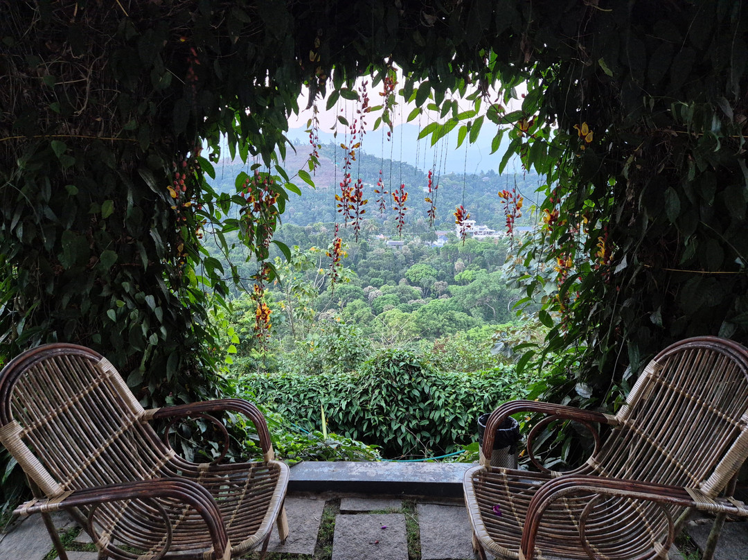 Pleasant Hill Resort Munnar主图