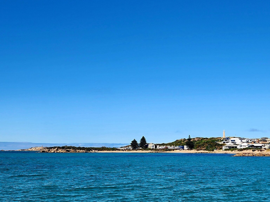 Beachport Jetty景点图片