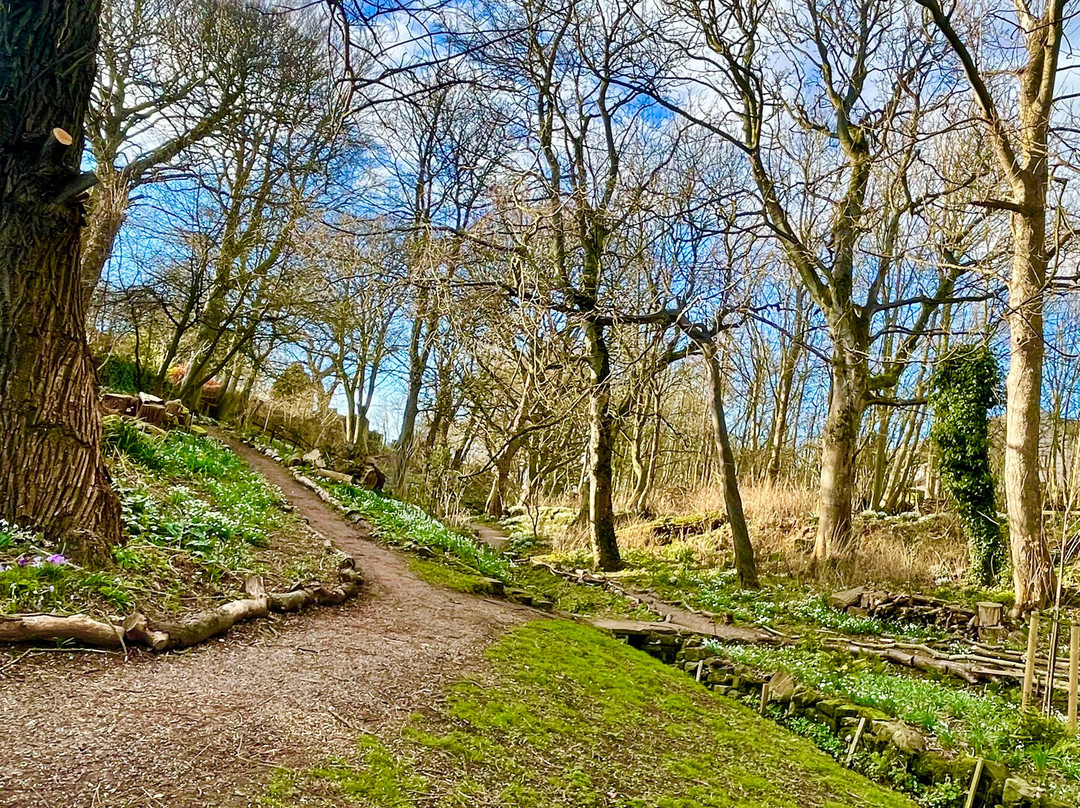 Denburn Wood-Crail必去景点