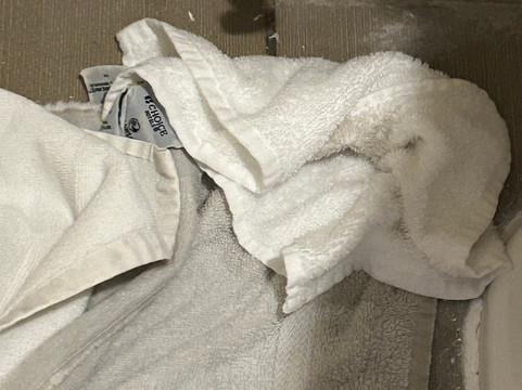 阿尔伯克基市中心舒适套房酒店主图