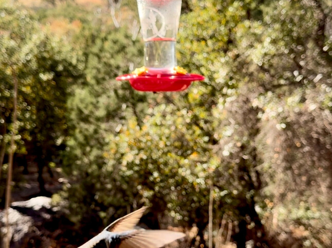 Santa Rita Lodge主图