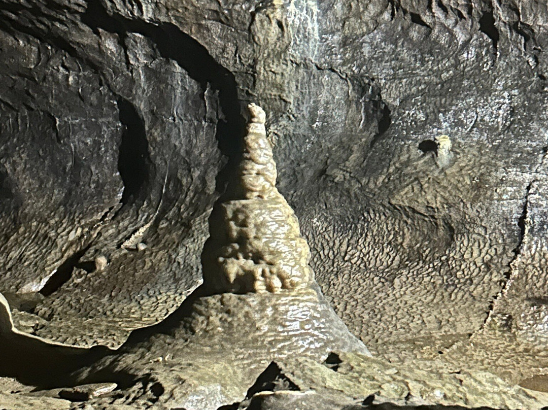 Ingleborough Cave景点图片