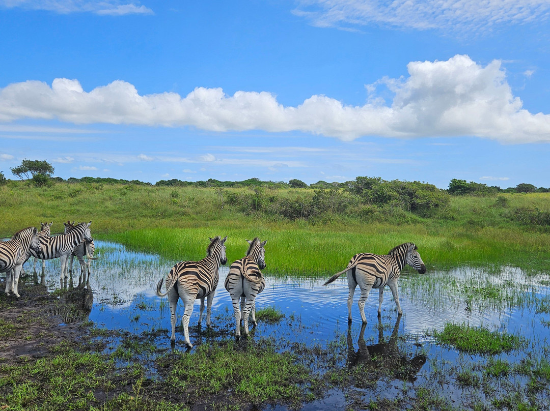 Bhangazi Horse Safaris-圣露西亚必去景点