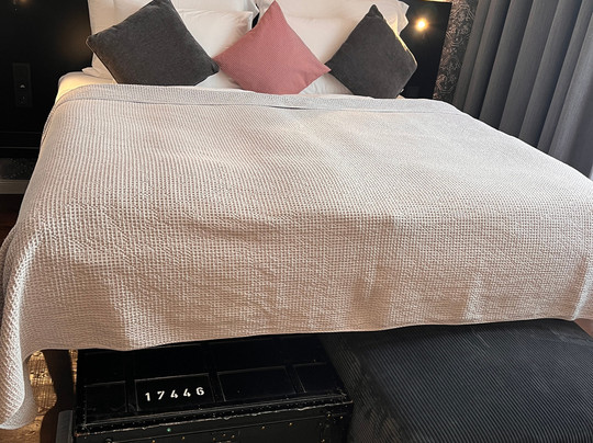 The Manes Boutique Hotel Prague主图