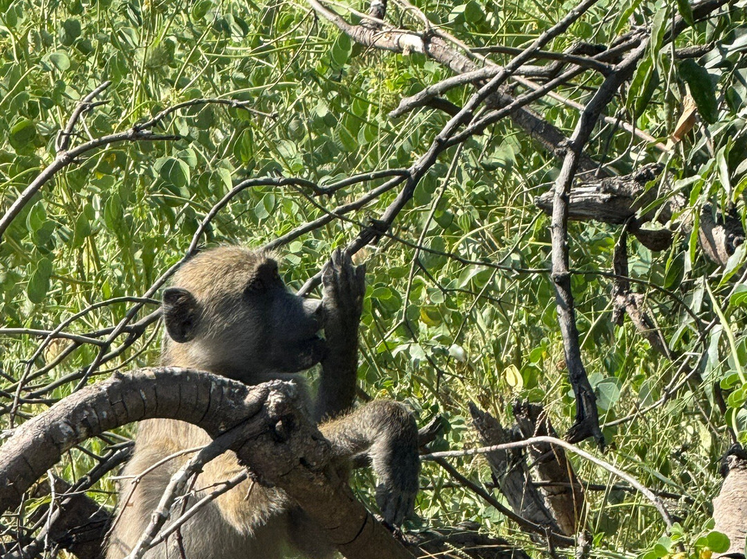 Kalahari Tours-卡萨尼必去景点