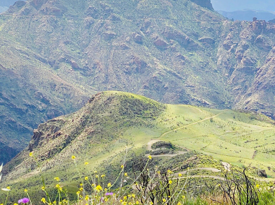 Destination Services Spain - Cran Canaria-马斯帕洛马斯必去景点