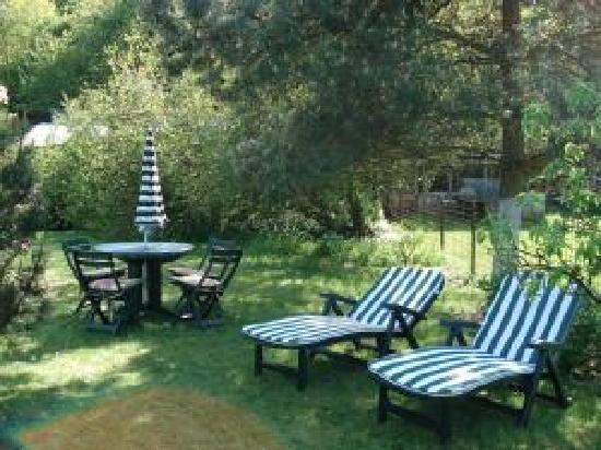 A l'Oree du Bois主图